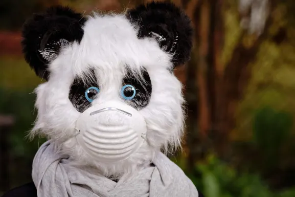 카지노 핫 라인 지원